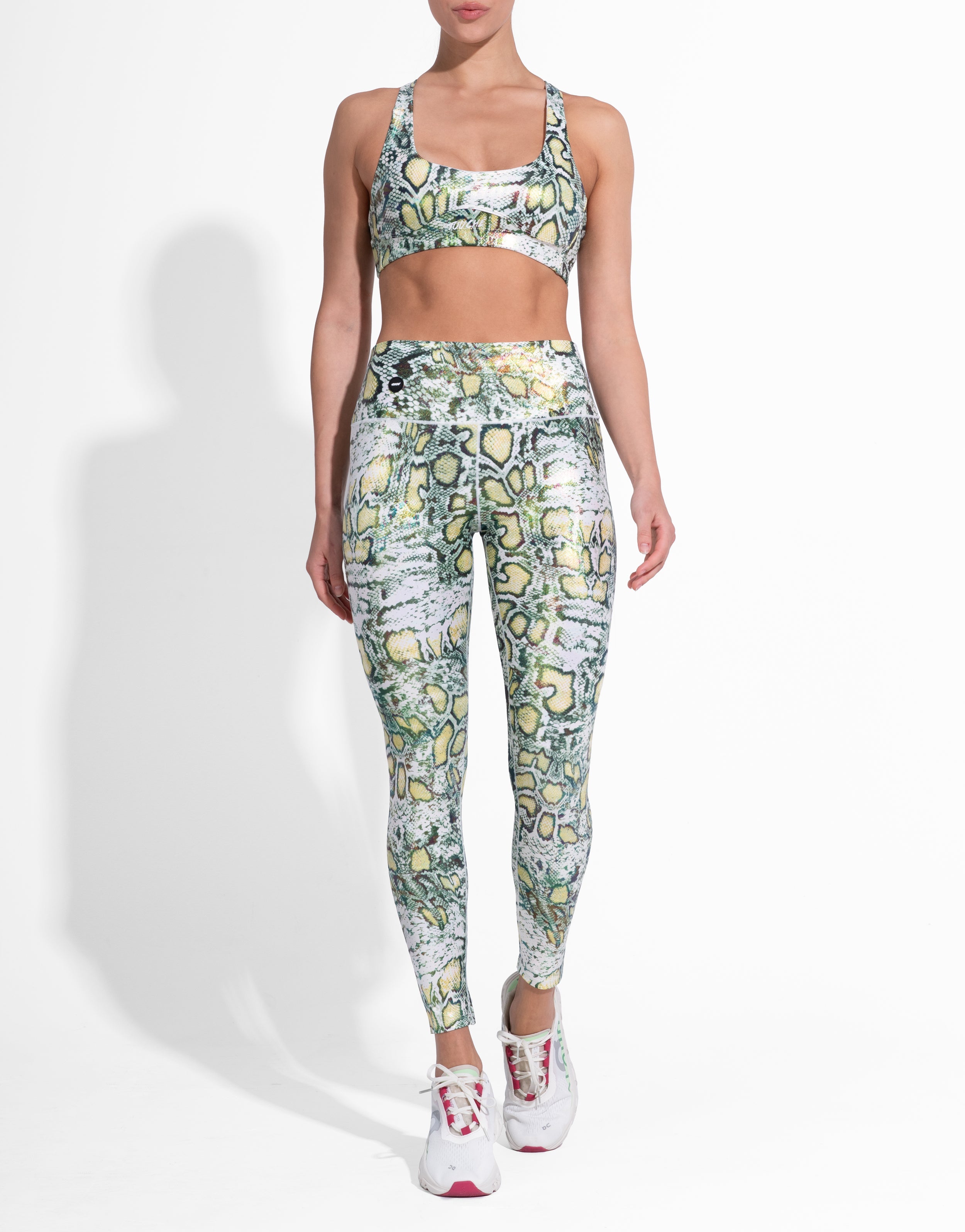 SNAKE IVY