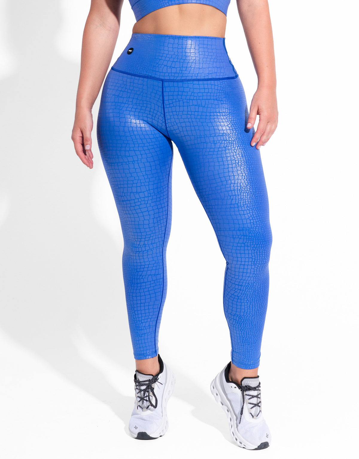 REPTILE BLUE